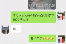 西藏西藏的要账公司在催收过程中的策略和技巧有哪些？